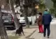 Scenă șocantă la Nehoiu. O femeie se apără de un câine cu un băț, iar un bărbat îi ia apărarea animalului. Femeia a fost trântită la pământ - VIDEO