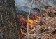 Incendiu violent în apropiere de Baia Mare - 29 de pompieri intervin în forță - FOTO