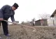 Din cauza prețurilor mari, românii au început să își cultive propriile legume