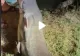 VIDEO – Monstrul găsit de un pescar român – Ce a făcut cu el i-a impresionat pe internauți: “Dacă nu filmai nu te credeam”