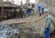 Pescarii au tras sperietura vieţii. Incredibil se au putut găsi în plasă, printre peşti - FOTO