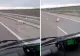 Noua probă pentru șoferi: Slalom printre porci pe autostrada A3. VIDEO