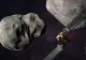 Un asteroid amenință Terra. Ar putea lovi direct planeta chiar de ZIUA ÎNDRĂGOSTIȚILOR