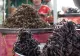 Este oficial: Noile reguli pentru vânzarea alimentelor din insecte în magazine au fost adoptate. Atenție la panourile de avertizare