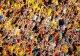 România-Belarus. Apelul FRF către suporteri după bătaia din Andorra! UEFA a deschis o procedură disciplinară