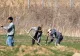 Vietnamezi din Timișoara, filmați când săpau după popândăi pentru a-i mânca. Imaginile care au strârnit revoltă printre asociațiile pentru drepturile animalelor