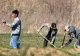 Muncitorii vietnamezi au ajuns să fie monitorizați de Poliție. Cazurile în care au fost prinși mâncând câini, pisici și păsări au pus pe jar oamenii legii