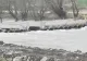 PERICOL major la Cluj după ce Dorel lovește din nou: Podul de peste Someș, fisurat la doar 3 zile de la deschidere - FOTO