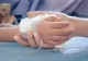 Tragedie cumplită în Bolintin Vale: Un băiețel de 4 ani a murit la spital, înecat cu un bob de strugure - Ce au aflat polițiștii