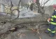 Drum Petroșani - Parâng, blocat complet de un copac căzut și pe firele de curent - FOTO