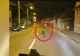 Pui de urs, filmat în timp ce alerga printre mașini, pe un bulevard intens circulat din județul Brașov