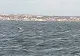 Alarmă falsă pe lacul Siutghiol! Barca pescărească care a alertat un număr impresionat de forțe de intervenție era, de fapt, o EPAVĂ  - VIDEO
