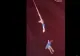 O acrobată din China a murit după ce a căzut de la trapez, în timpul unui spectacol (VIDEO)