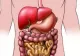 Alimentul care se digeră abia după 3 zile - otravă pentru organism. Și tu îl consumi frecvent!
