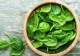 Planta elixir care vindecă rapid ulcerul: Este cel mai bun leac - Cum trebuie consumată