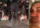 Un afacerist cunoscut a fost snopit în bătaie de trei bărbați după ce a fost scos cu forța dintr-un club de fițe