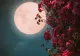 Prima Lună plină a primăverii astronomice, în 6 aprilie 2023. Ce faci de Luna ROZ - Legătura cu Paștele de care nu știai