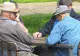 Ce se întâmplă cu pensiile românilor. Calcule care arată de ce sistemul de pensii este gata să se prăbușească