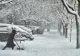 COD PORTOCALIU de vreme severă în România. Vortexul polar lovește în plin - temperaturile scad dramatic - prognoza meteo, actualizată