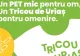 De la PET, la record mondial: Tricoul de Uriaș aduce României un loc în Guinness World Records