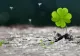 Cele 3 zodii care NU vor fi niciodată sărace - norocul le surâde din plin!