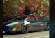 VIDEO – Se întâmplă chiar în România – Un urs devastează o mașină aflată la marginea pădurii