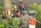 Accident grav, în Vaslui: un mort și un rănit, după ce s-au răsturnat cu mașina și s-au izbit violent de un nuc - FOTO