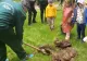 Săptămâna Verde, cu Totul Verde, la "Dumbrava Minunată" - FOTO