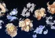 Horoscop vineri, 19 mai 2023. Trei zodii ar putea avea probleme de SĂNĂTATE în weekend. La ce trebuie să fie atente