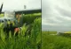 O aeronavă a aterizat de urgență pe un câmp din Ialomița. Motivul este incredibil