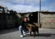 Câți ani are cel mai bătrân câine din lume? A intrat în Cartea Recordurilor VIDEO/FOTO