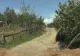 Cea mai săracă localitate din România are ghid turistic, chiar dacă nu are medic, școli sau grădinițe