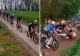 Scene șocante într-o cursă ciclistă, la 60 de km/h: "Toți au căzut" - VIDEO