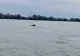 Inedit: Delfinii au ajuns  în Dunăre! VIDEO cu prietenoasele cetacee jucându-se pe brațul Sulina