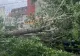 Ravagii după o nouă furtună în Capitală, sâmbătă seară: Mai multe mașini distruse în Sectorul 6 de copacii rupți - Intervin pompierii - FOTO