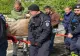 Cerb rătăcit printre blocuri, la Brașov. Mobilizare de urgență a autorităților; Ce s-a întâmplat cu animalul? VIDEO