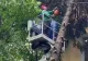 Panică totală în Pitești: Un brad a căzut peste un bloc - Intervenție dificilă a pompierilor - VIDEO