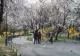 Marfa vândută în marile parcuri bucurestene, pericol public. A plouat cu amenzi de la Protectia Consumatorilor