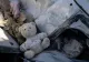 Un tată care și-a pierdut 2 copii și soția în cutremurul din Turcia și-a împușcat în cap singura fiică supraviețuitoare