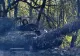 FOC continuu în războiul din Ucraina: Bătălii teribile în Bahmut, cadou pentru PUTIN de 9 mai - „Noul Mariupol”, imagini apocaliptice - VIDEO