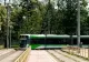 Femei agresate sexual de un bărbat, într-o stație de tramvai din București - El a fost prins în flagrant de jandarmi