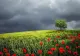 Prognoza meteo pe două săptămâni - cât mai durează frigul și ploile. Vremea până pe 28 mai
