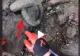 VIDEO – Descoperire fabuloasă făcută într-o pădure – Totul a fost filmat