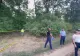 Panică în pădure: silvicultorii, atacați cu puștile de vânătoare! Au intervenit polițiștii și mascații