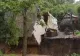 VREMEA EXTREMELOR: sute de gospodării din țară, inundate de șuvoaie! Peste 4.500 de pompieri intervin în zonele cu probleme - FOTO&VIDEO