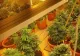 Seră de cannabis într-un imobil din București. Doi traficanți, reținuți