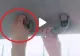 VIDEO - Mânerul din interiorul mașinii are un "buton" cu o funcție secretă pe care foarte puțini o știu - Care e utilitatea