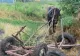 Caz șocant la Galați. 2 bărbați și-au bătut măr fratele și l-au pus în căruță, ca să pară un accident