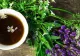 Cel mai sănătos ceai pentru detoxifierea ficatului 