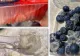 Inspectorii ANPC, razie în magazinele din țară: mizerie și produse mucegăite. Amenzi de zeci de mii de euro